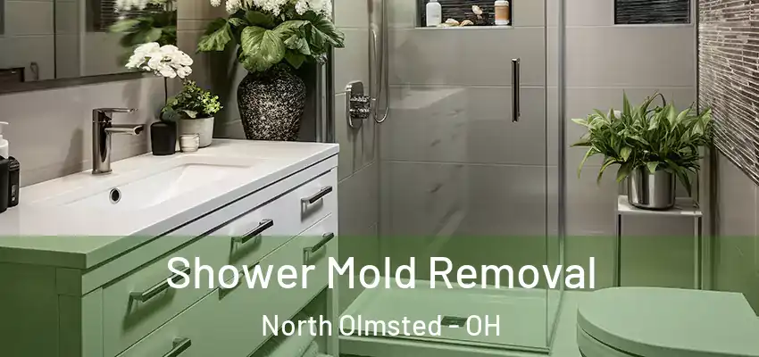  Shower Mold Removal North Olmsted - OH