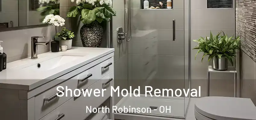 Shower Mold Removal North Robinson - OH