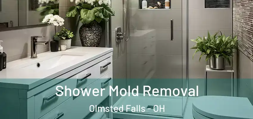 Shower Mold Removal Olmsted Falls - OH