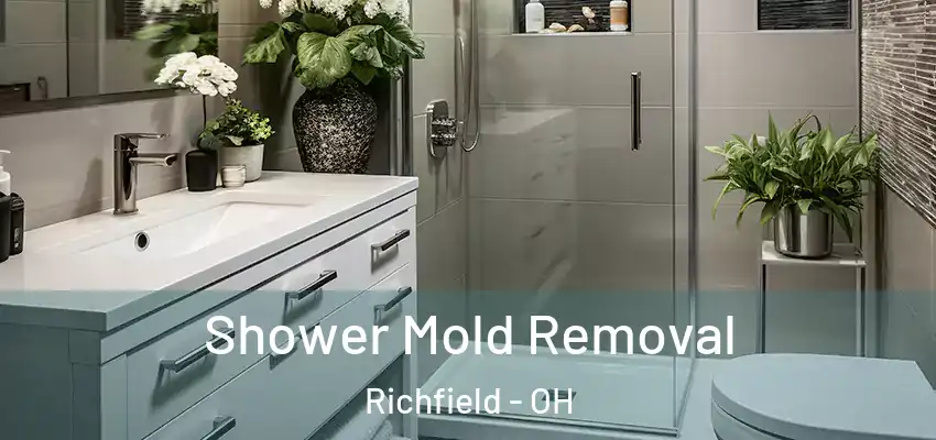 Shower Mold Removal Richfield - OH