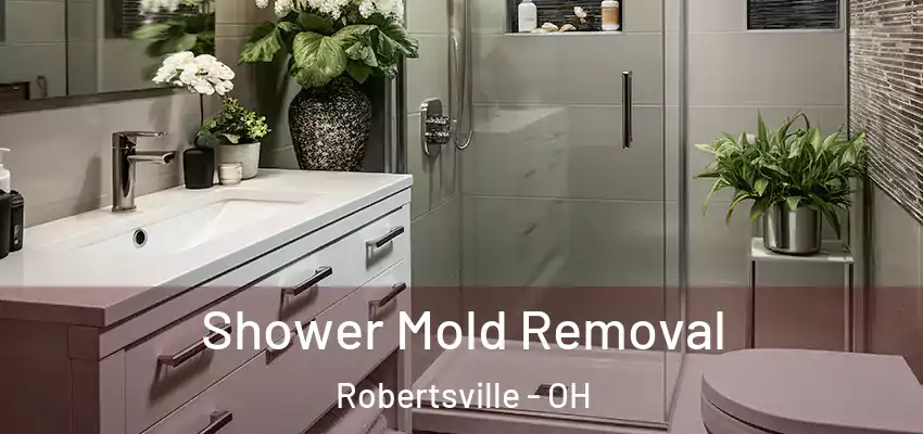  Shower Mold Removal Robertsville - OH