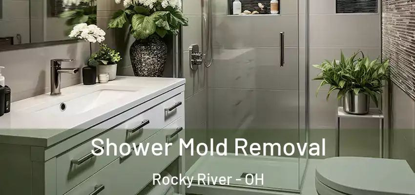 Shower Mold Removal Rocky River - OH