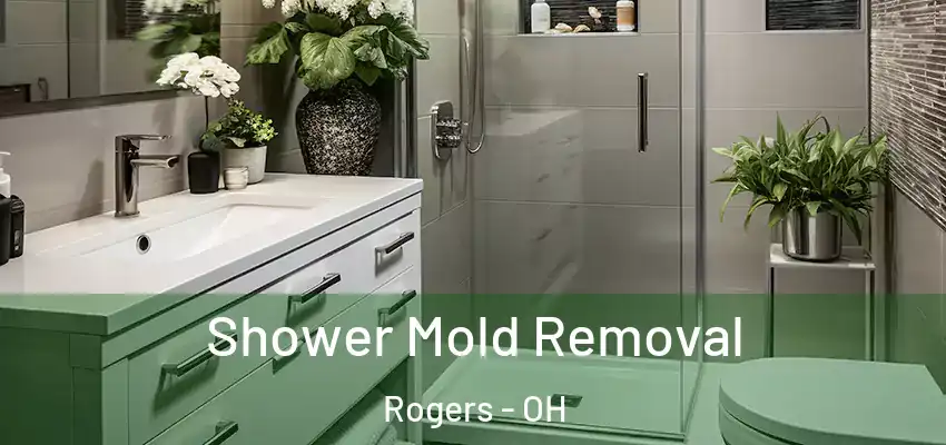 Shower Mold Removal Rogers - OH