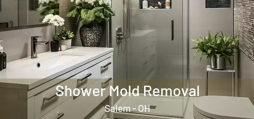 Shower Mold Removal Salem - OH