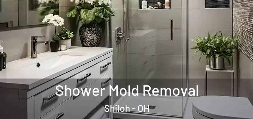 Shower Mold Removal Shiloh - OH