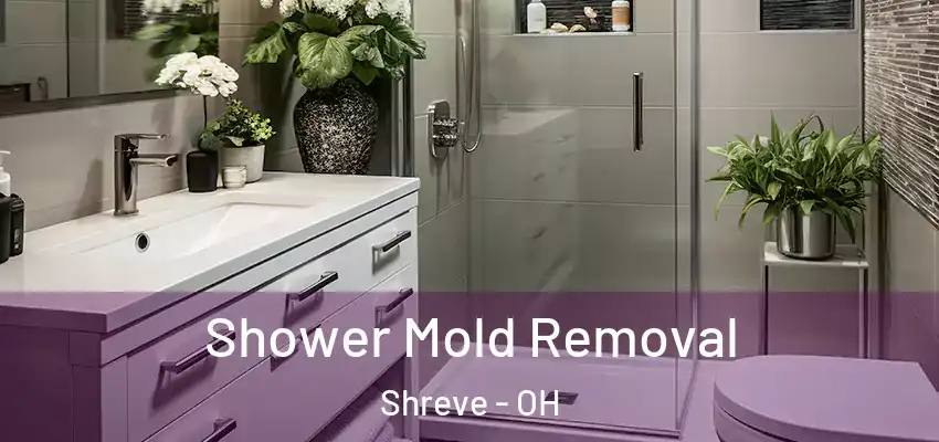 Shower Mold Removal Shreve - OH
