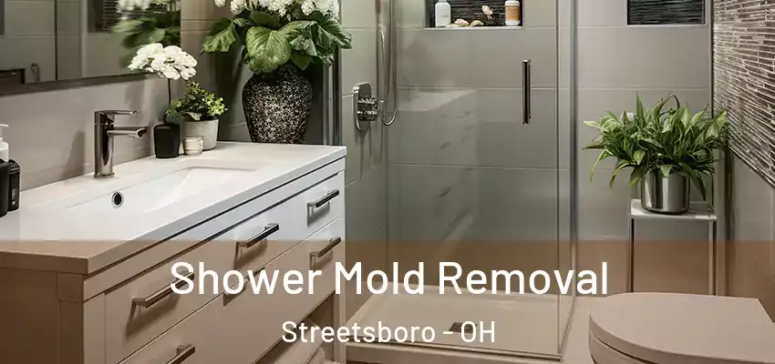Shower Mold Removal Streetsboro - OH