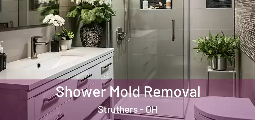  Shower Mold Removal Struthers - OH