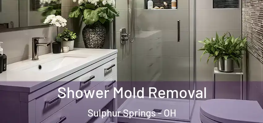  Shower Mold Removal Sulphur Springs - OH