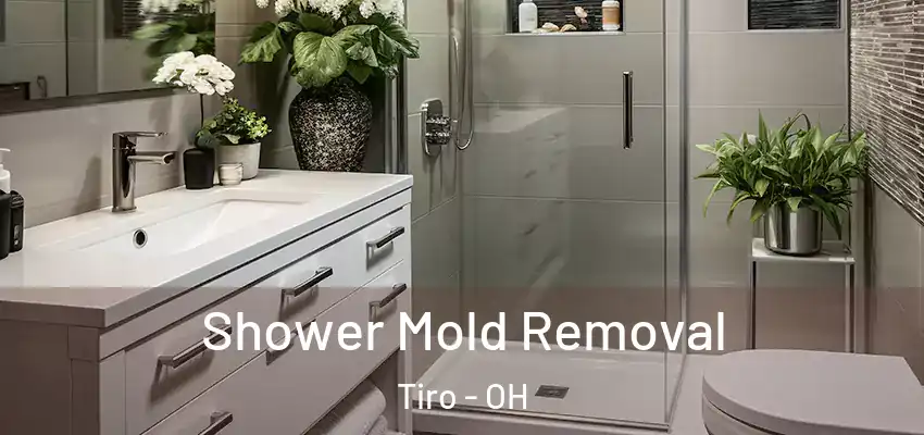 Shower Mold Removal Tiro - OH