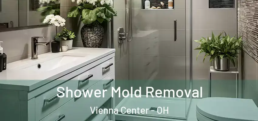 Shower Mold Removal Vienna Center - OH
