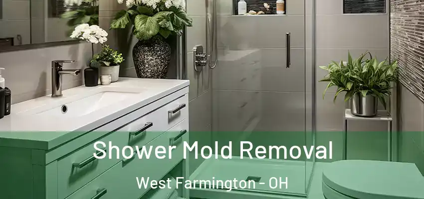  Shower Mold Removal West Farmington - OH