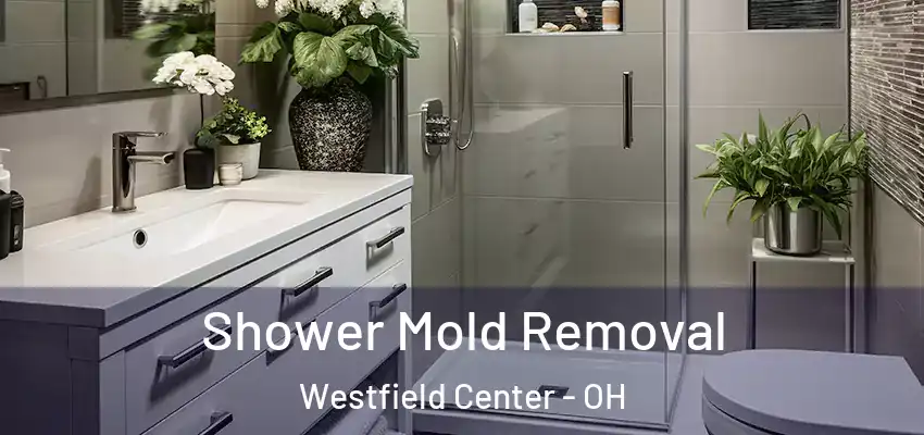 Shower Mold Removal Westfield Center - OH