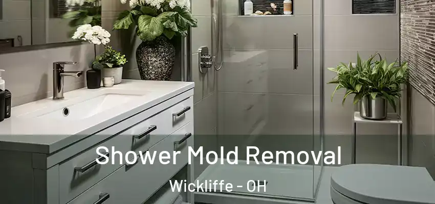 Shower Mold Removal Wickliffe - OH