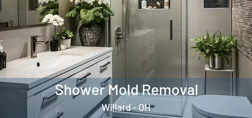 Shower Mold Removal Willard - OH